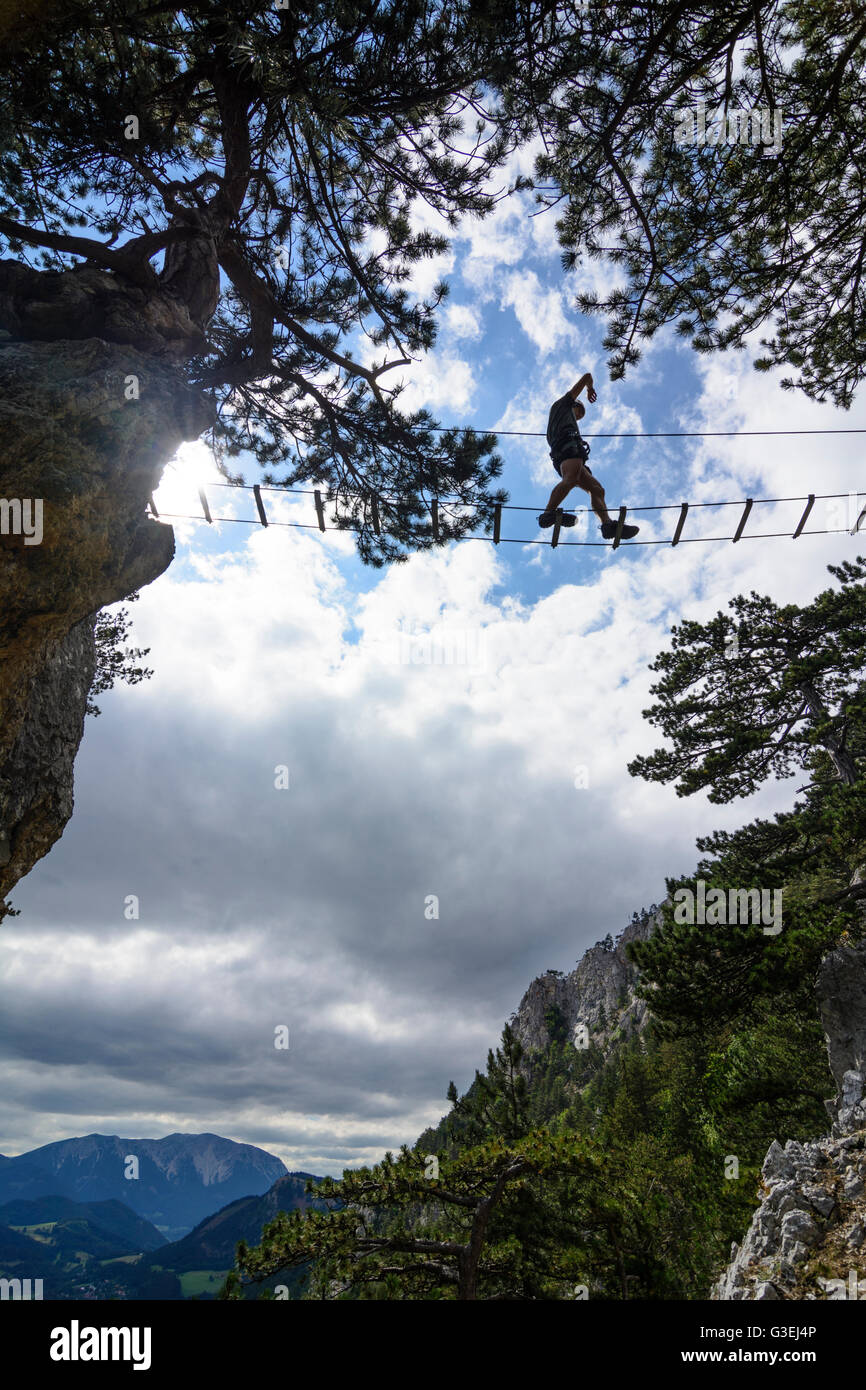 via ferrata Gebirgsvereinssteig rope bridge, Austria, Niederösterreich