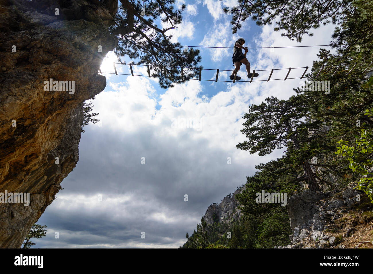 via ferrata Gebirgsvereinssteig rope bridge, Austria, Niederösterreich