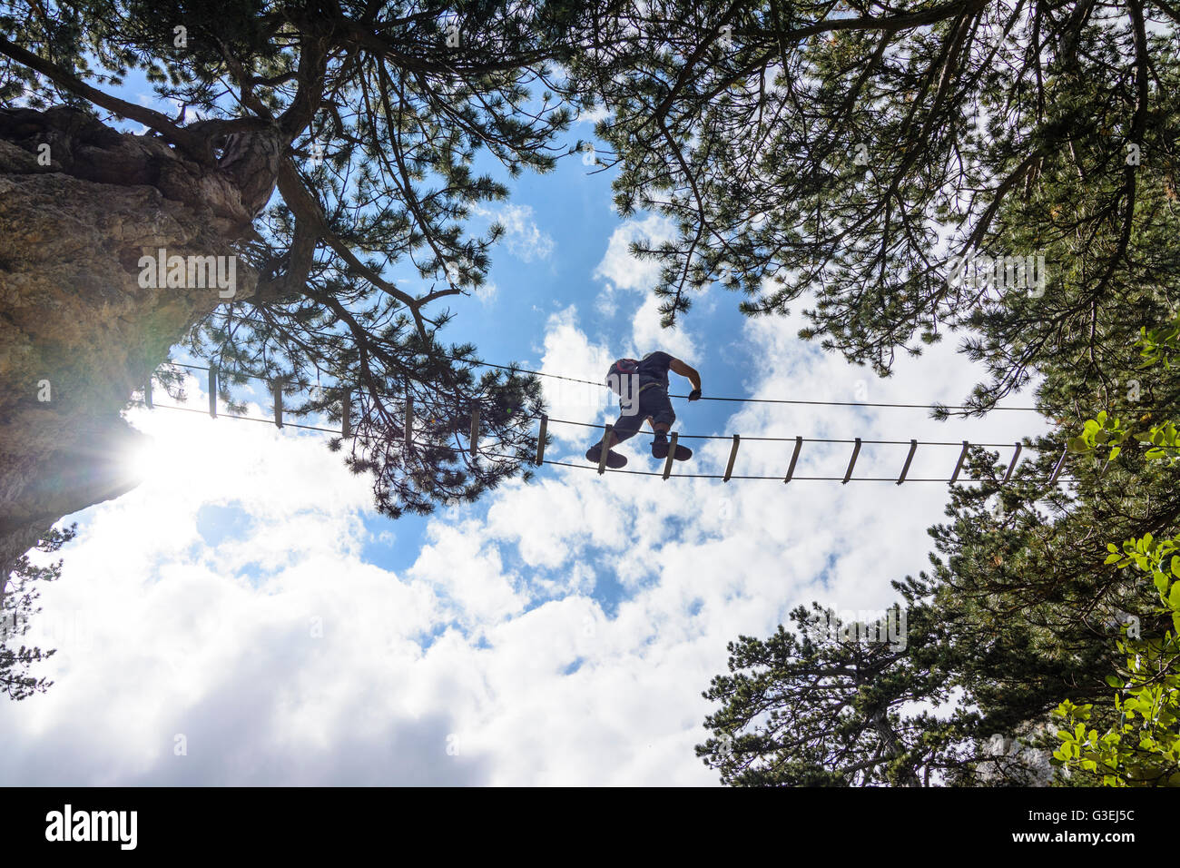 via ferrata Gebirgsvereinssteig rope bridge, Austria, Niederösterreich