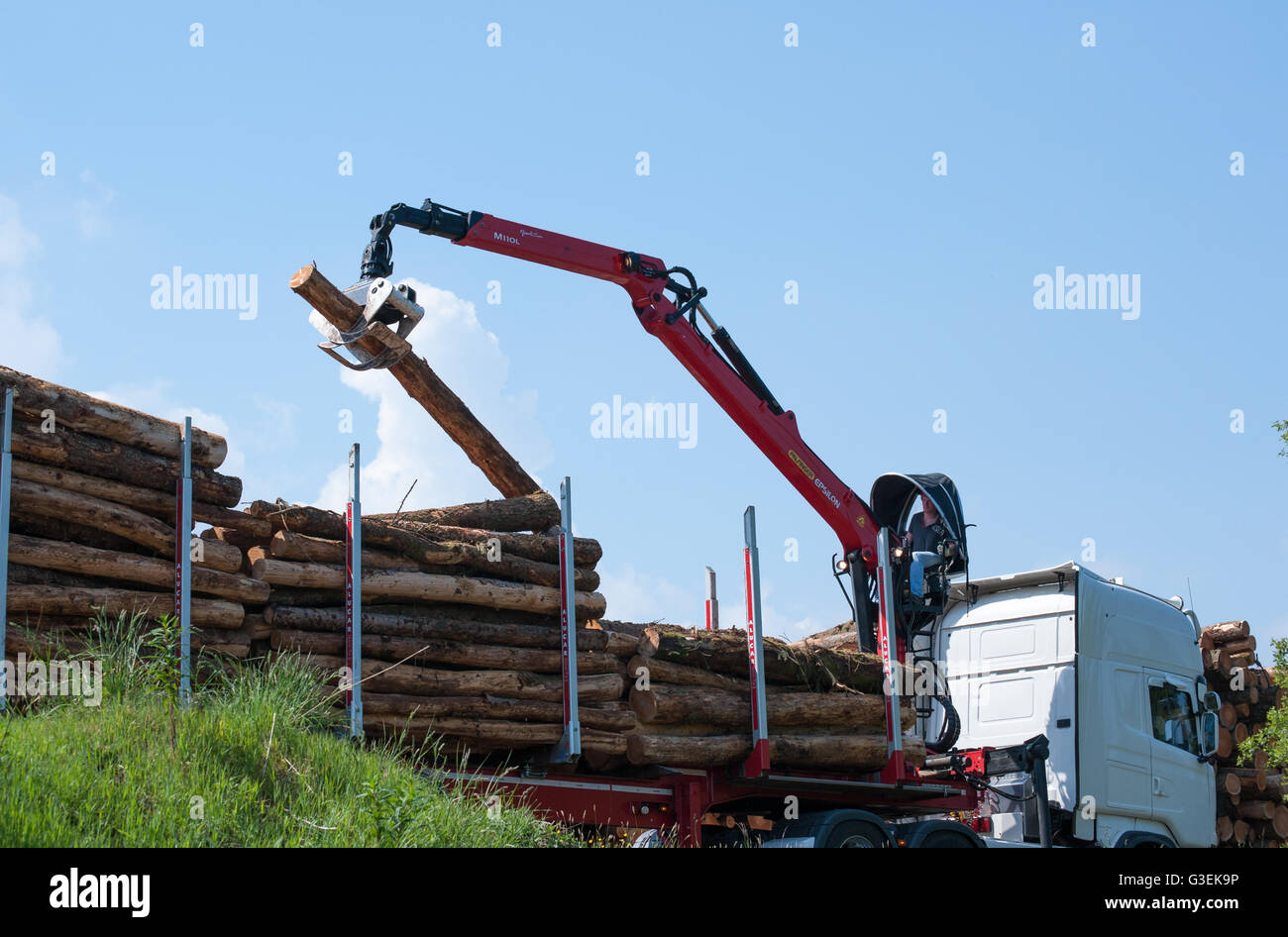 Glenariff Forest Park,Northern Ireland June 06, 2016. Crane operator loading logs on to truck Stock Photo