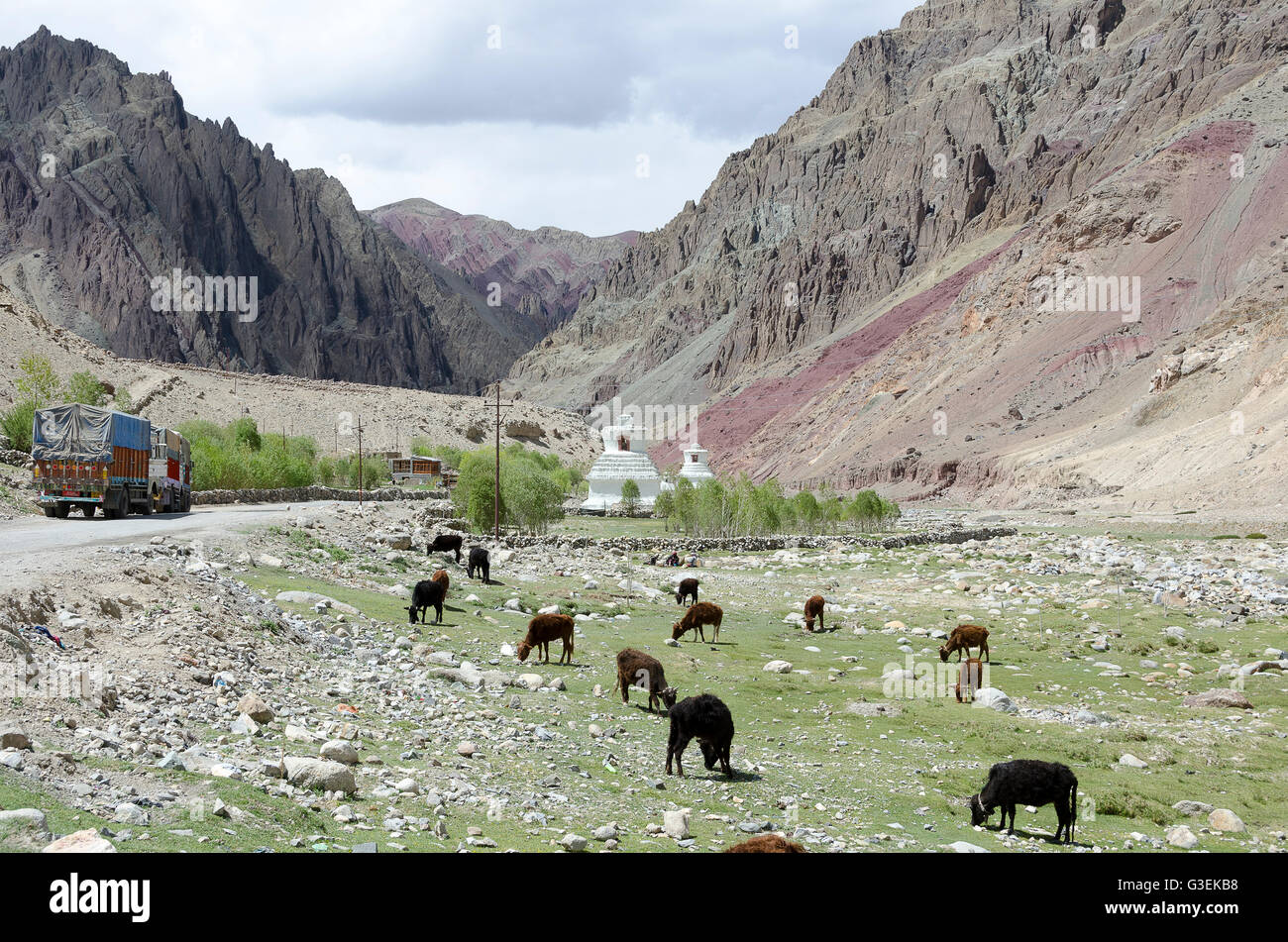 Valley with Stupas, or chortens near Rumtse, Manali - Leh Road, Himachal Pradesh, India, Stock Photo