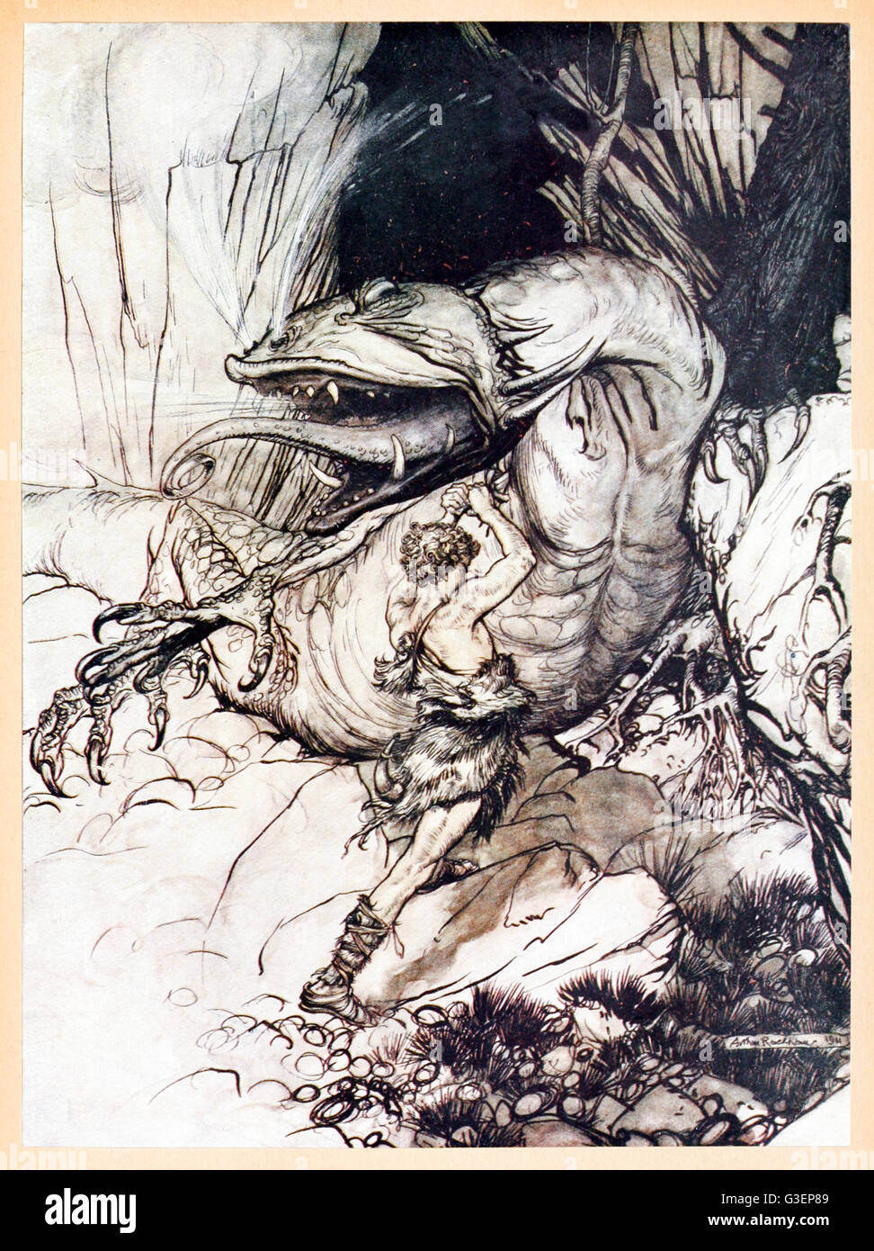“Siegfried kills Father” from 'Siegfried & The Twilight of the Gods' illustrated by Arthur Rackham (1867-1939). Siegfried stabs the giant Fafner who has transformed into a dragon with the sword Nothung. See description for more information. Stock Photo