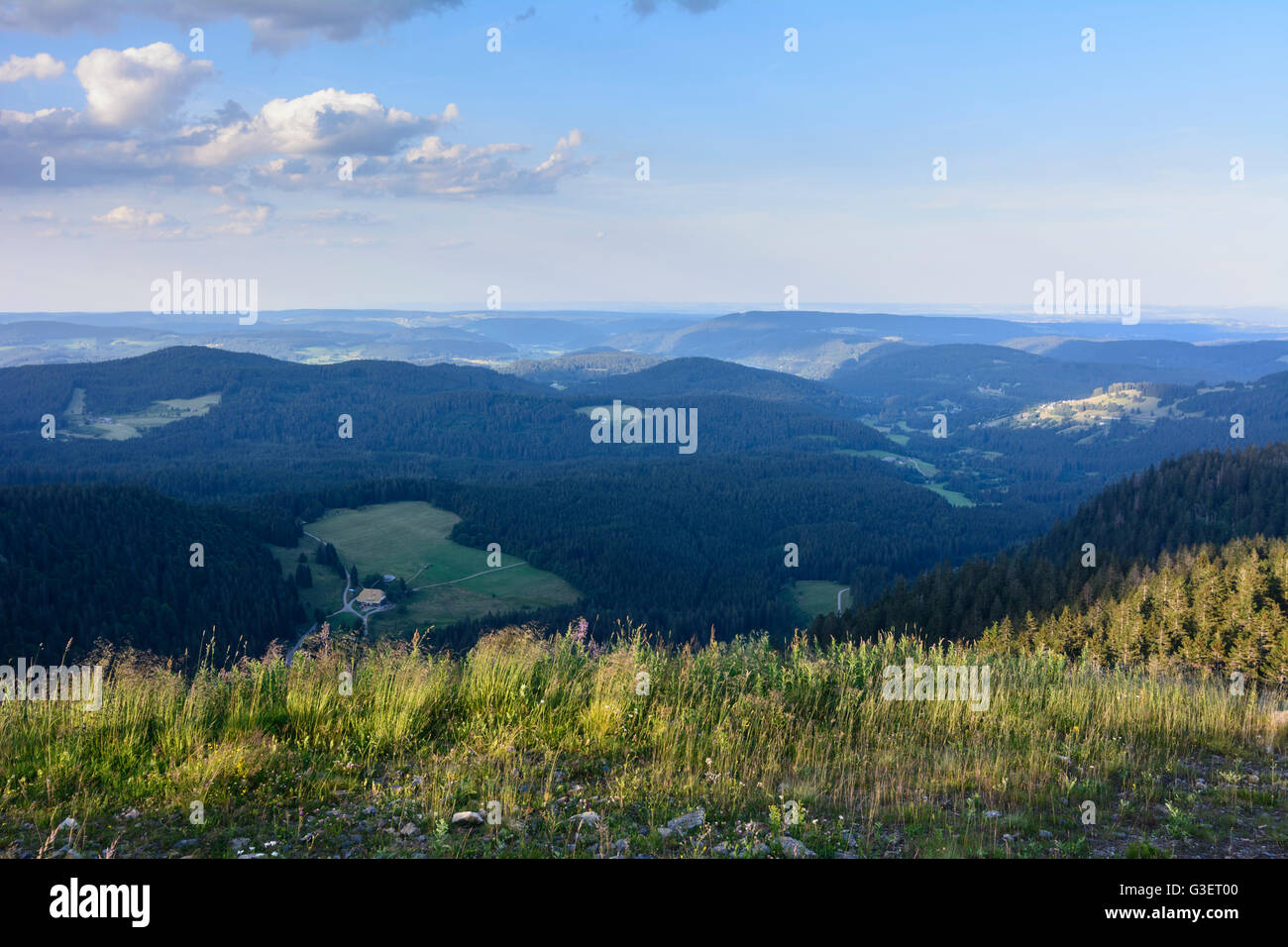 Feldberg: view to lake Titisee, Germany, Baden-Württemberg, Schwarzwald, Black Forest, Feldberg (Schwarzwald) Stock Photo
