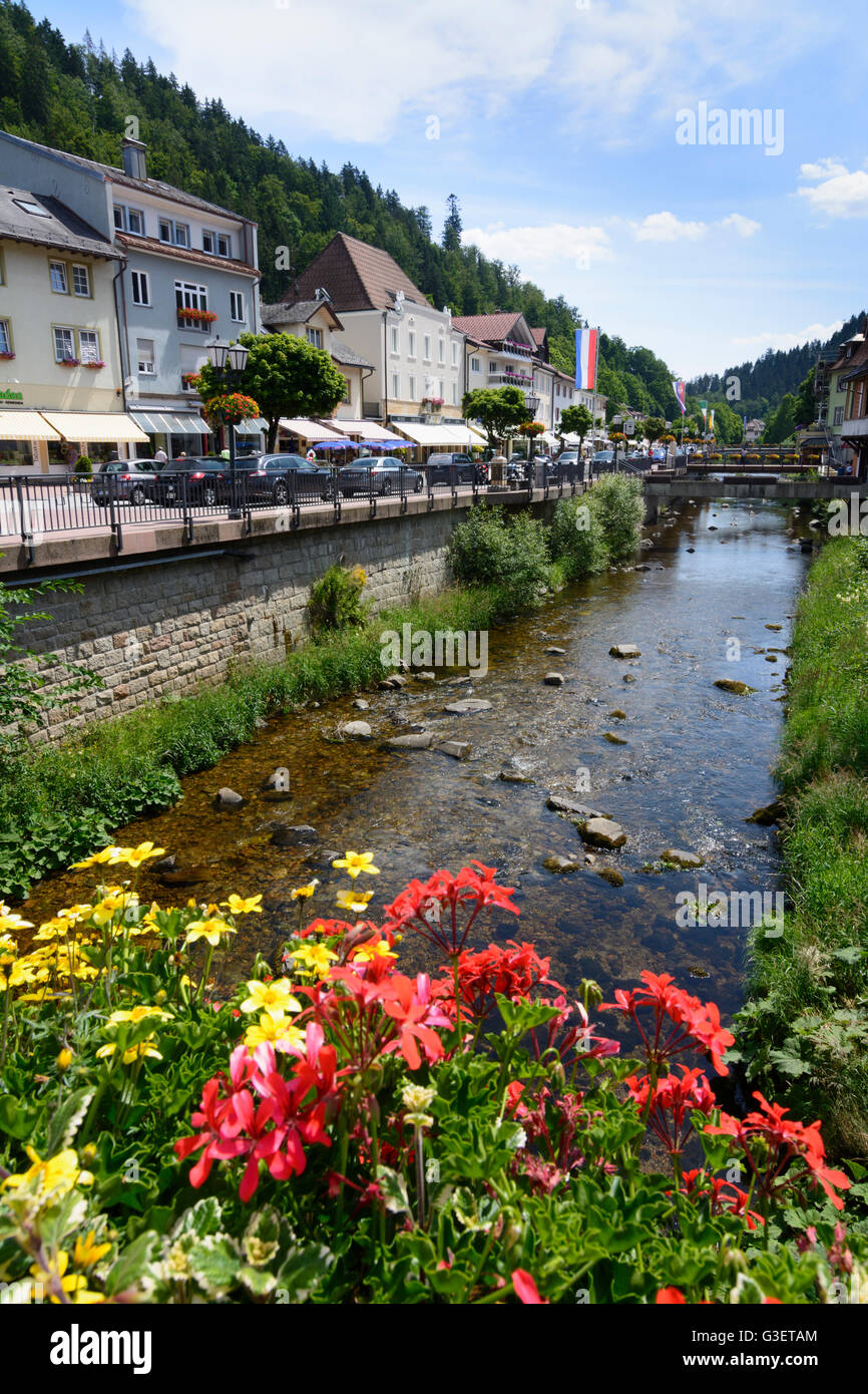 Hauptstraße at stream Alb, Germany, Baden-Württemberg, Schwarzwald, Black Forest, St. Blasien Stock Photo