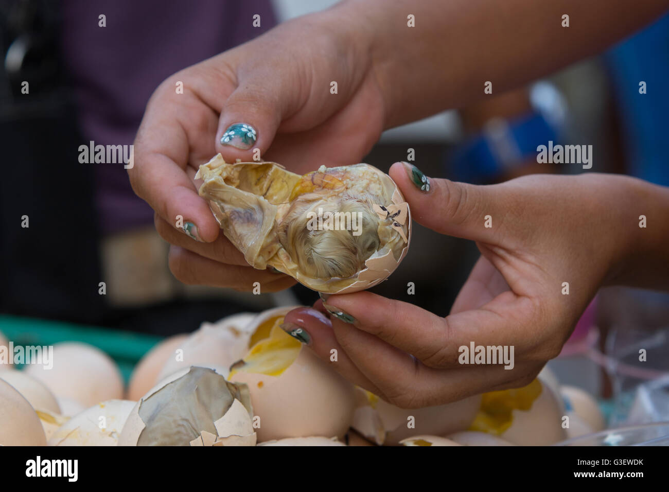 Balut is a fertilized duck egg incubated between 14-21 days then boiled or steamed.A delicacy in the Philippines Stock Photo