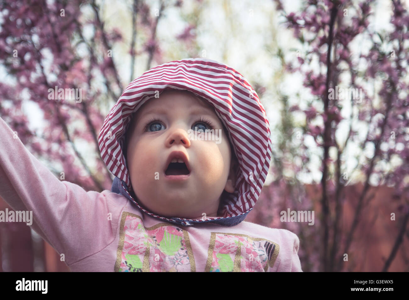 Admiring cute baby girl in pink clothes walking among blossoming ...