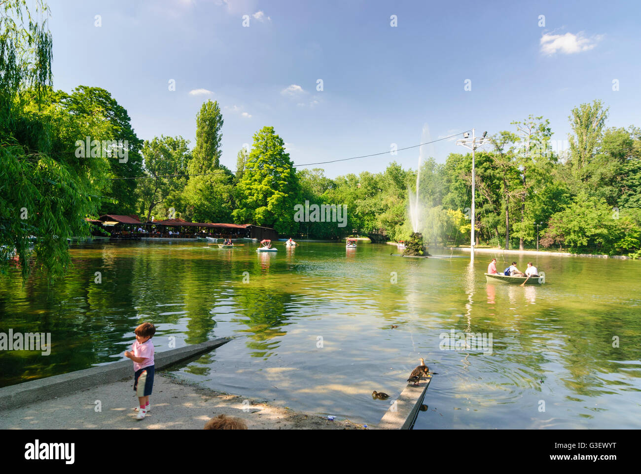 Cismigiu Park, Romania Bucharest Bucuresti Stock Photo