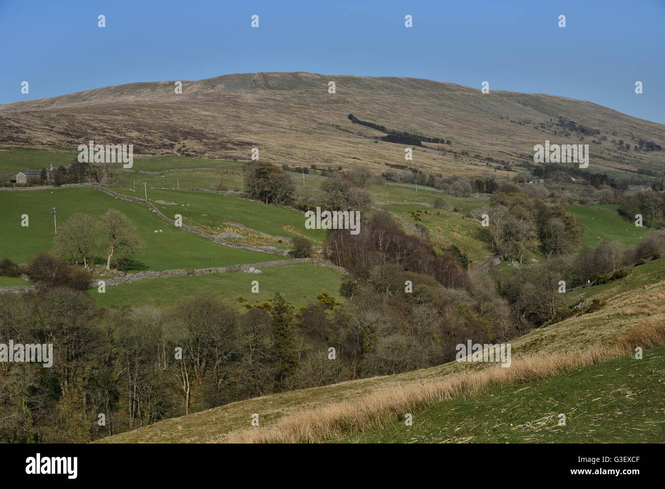 Dent fault, the border between Cumbria, and North Yorkshire, Yorkshire Dales National Park, England, UK. Stock Photo