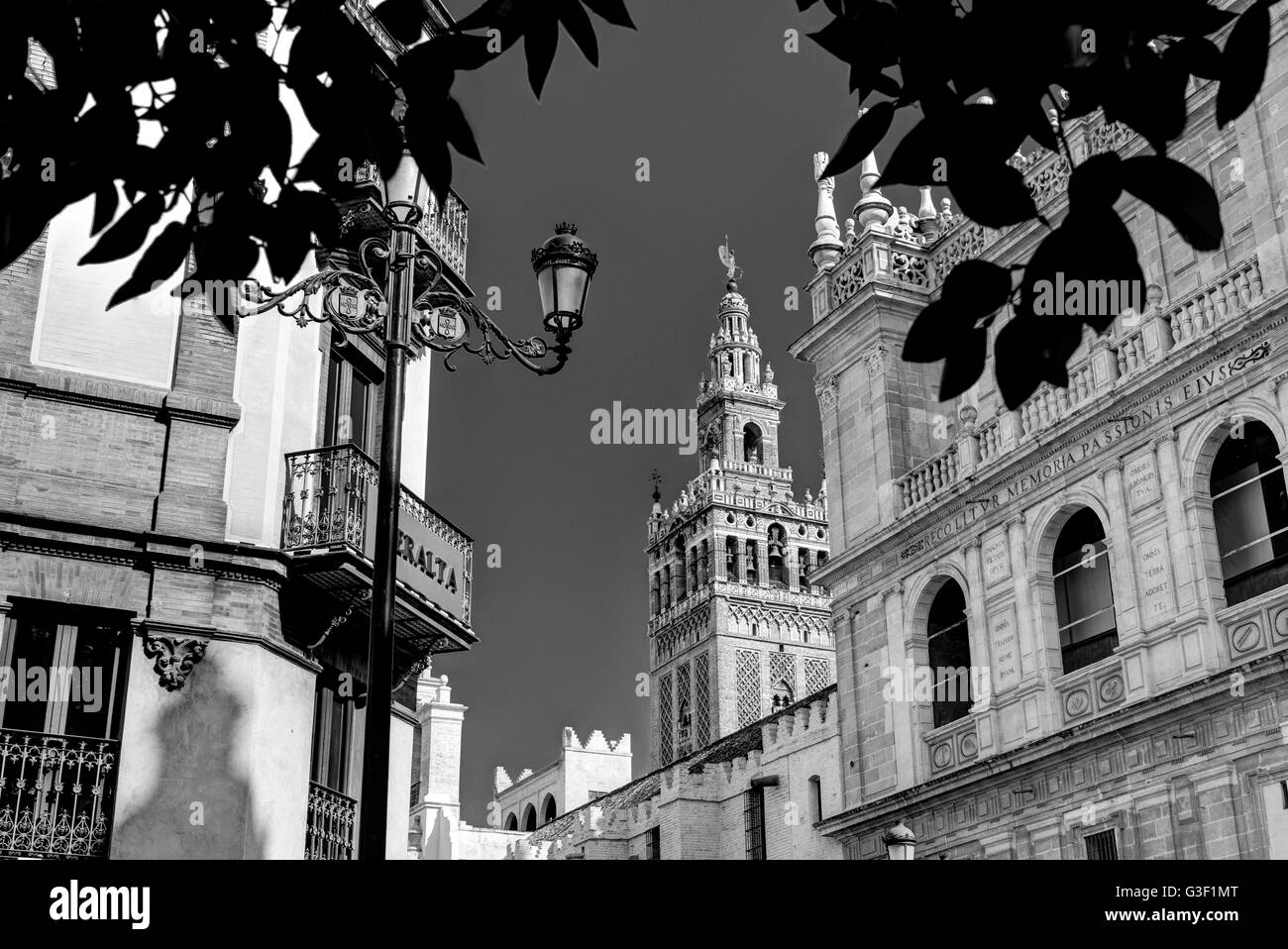 Giralda, bell tower, steeple, cathedral, Catedral de Santa María de la Sede, Seville, Andalusia, Spain, Europe Stock Photo