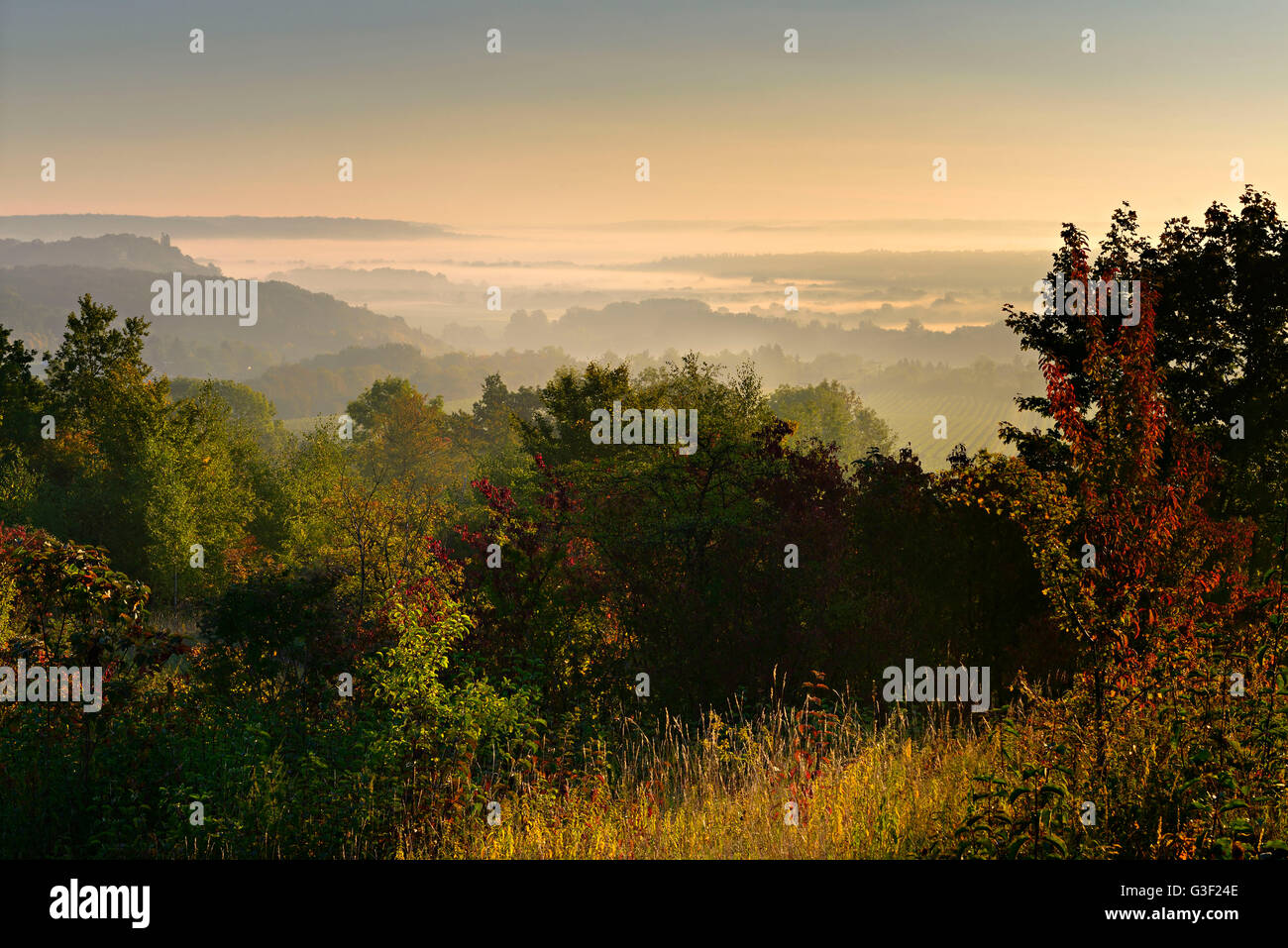 Single in naumburg/saale