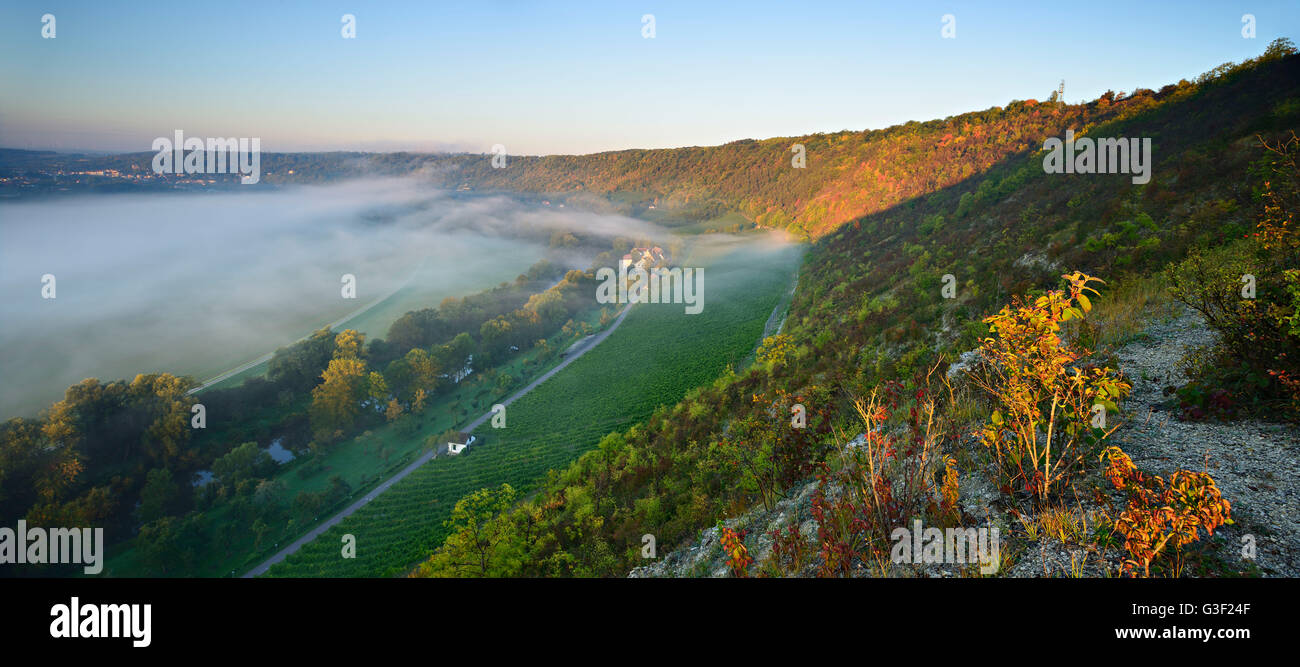 Morning fog in the Saale valley, near Naumburg, Burgenlandkreis, Saxony-Anhalt, Germany Stock Photo