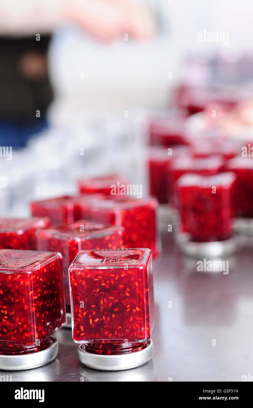 Homemade Raspberry Jam Jar Illustration | Free Vector - View #4