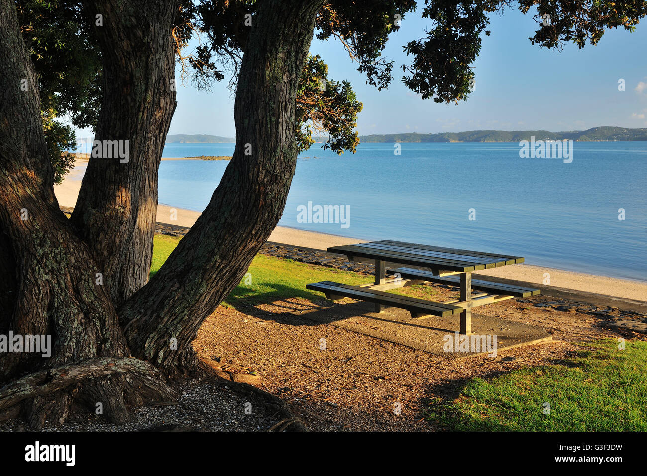 Picnic Area near Coast, Maraetai, Auckland, North Island, New Zealand
