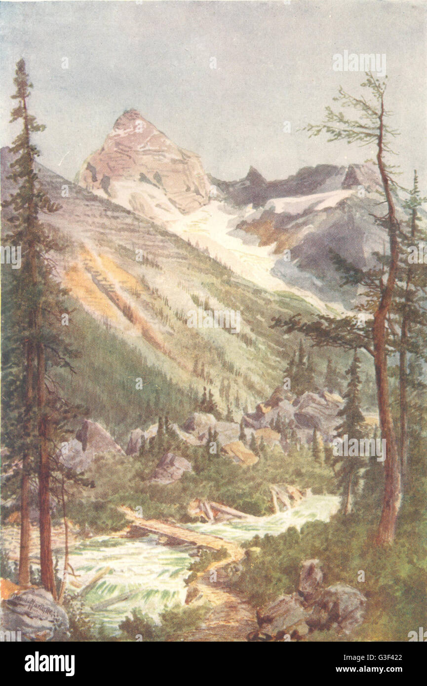 Glacier Crest Illecillewaet 1907 old antique print British Columbia CANADA 
