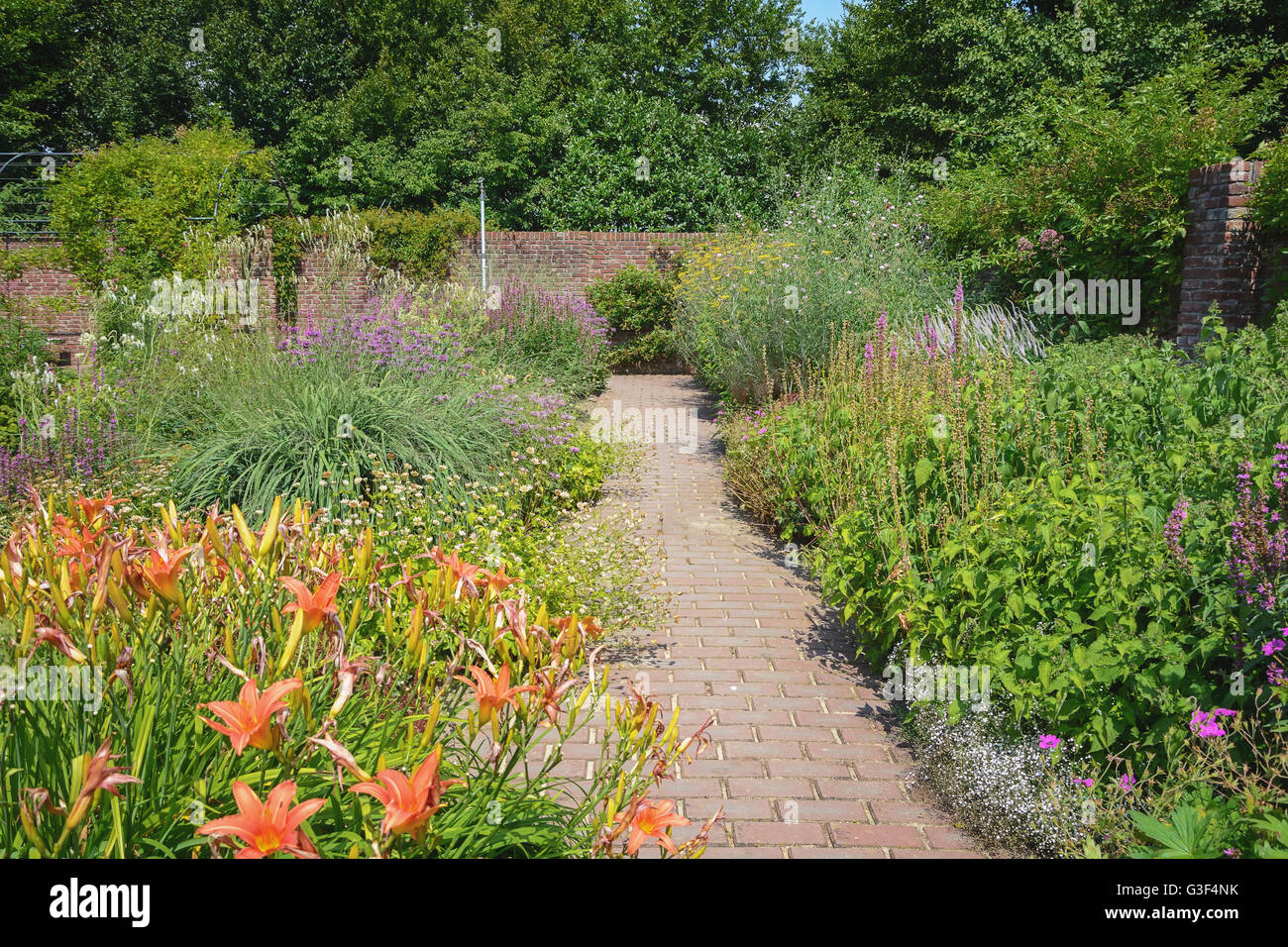Decorative garden path surrounded by flowering plants. Stock Photo