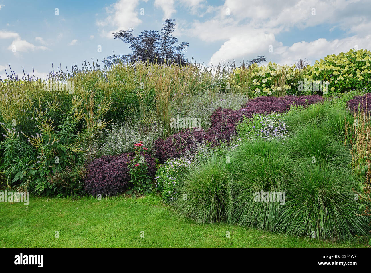 Border flowering plants hires stock photography and images Alamy