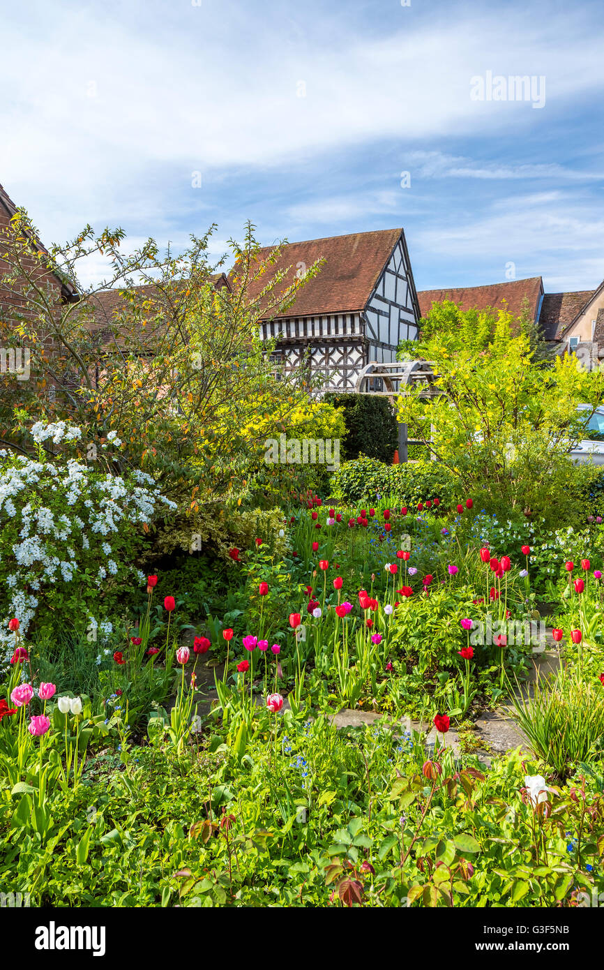 Warwick, Warwickshire, England, United Kingdom, Europe. Stock Photo