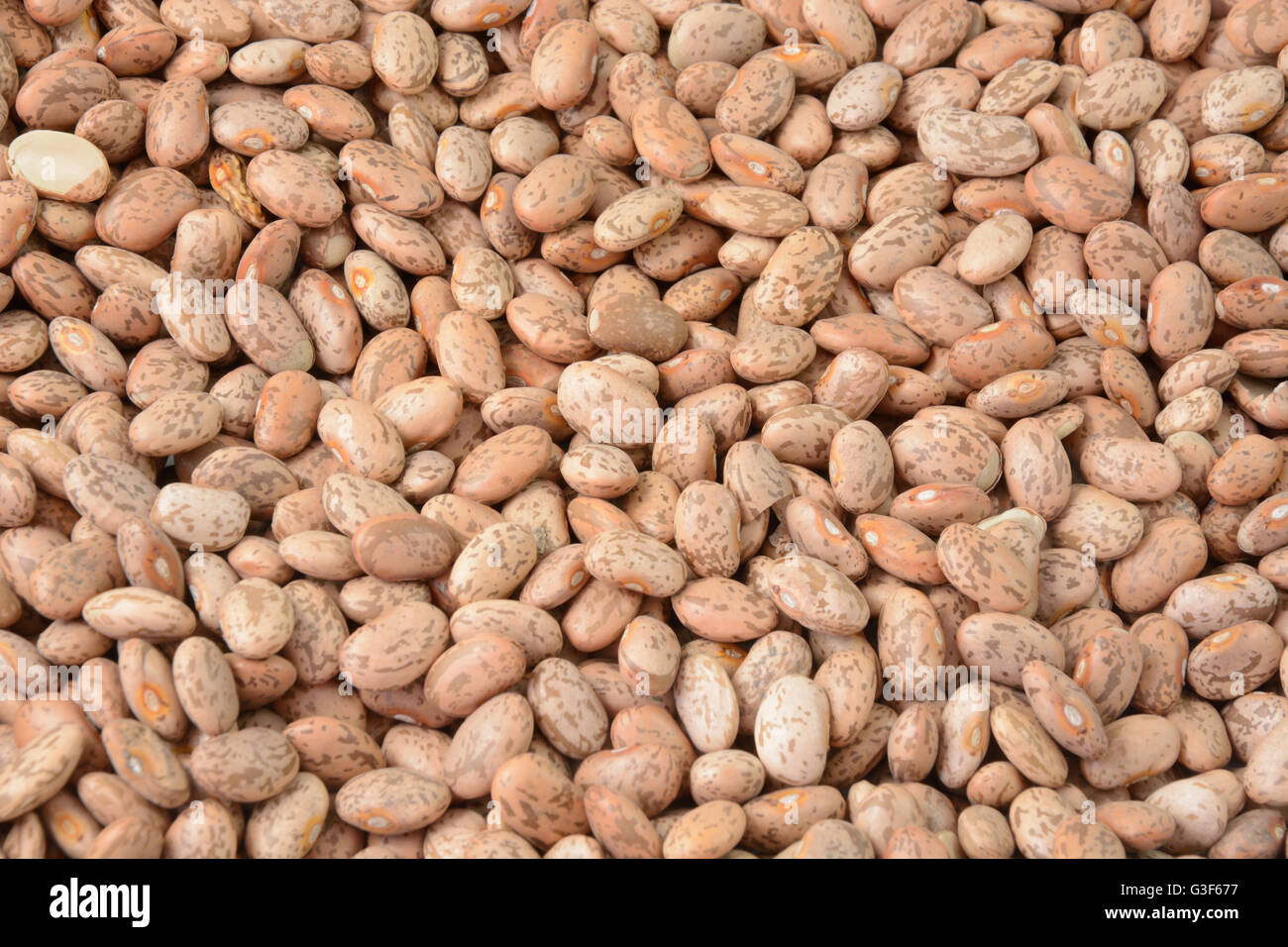 Dry raw pinto beans Stock Photo Alamy