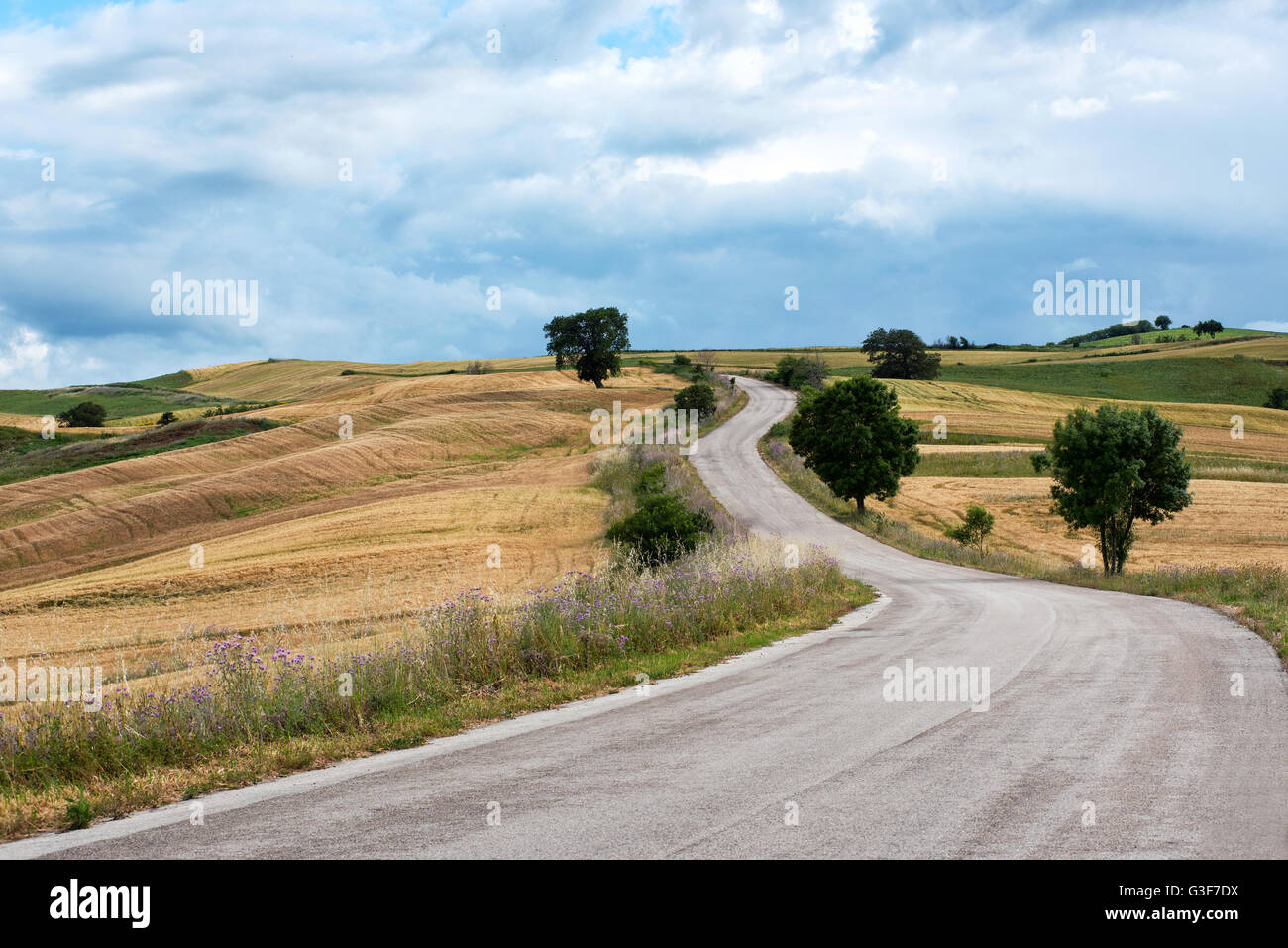 Empty asphalt road winding into the distance through hills through agricultural farmland on a cloudy day Stock Photo