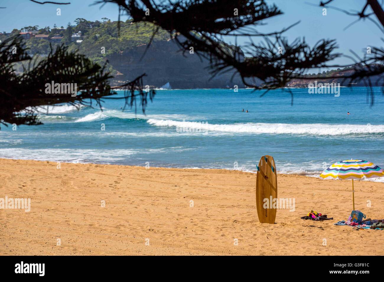 Avoca Beach in NSW Australia when surfing is a passion. Stock Photo