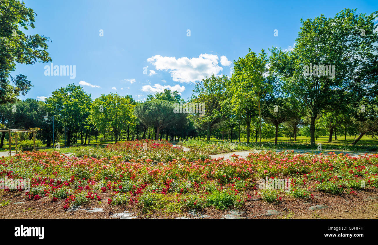 Large flower bed hi-res stock photography and images - Alamy