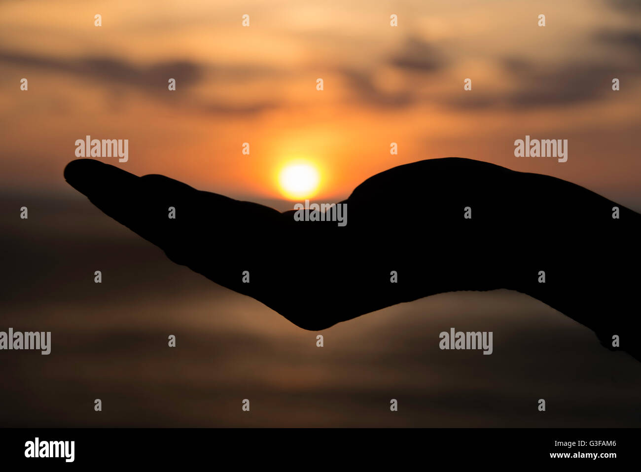 female hand with the sun during sunset on her hand Stock Photo - Alamy