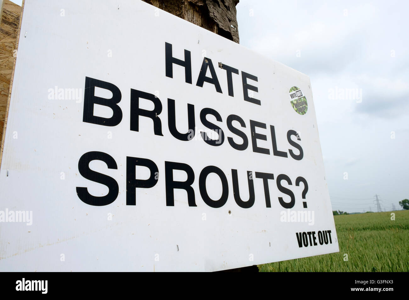 Hintlesham, England 11th June 2016. A Hate Brussels leave campaign road side sign for the EU referendum in the UK. Credit:  Lawrence Woolston/Alamy LIve News Stock Photo