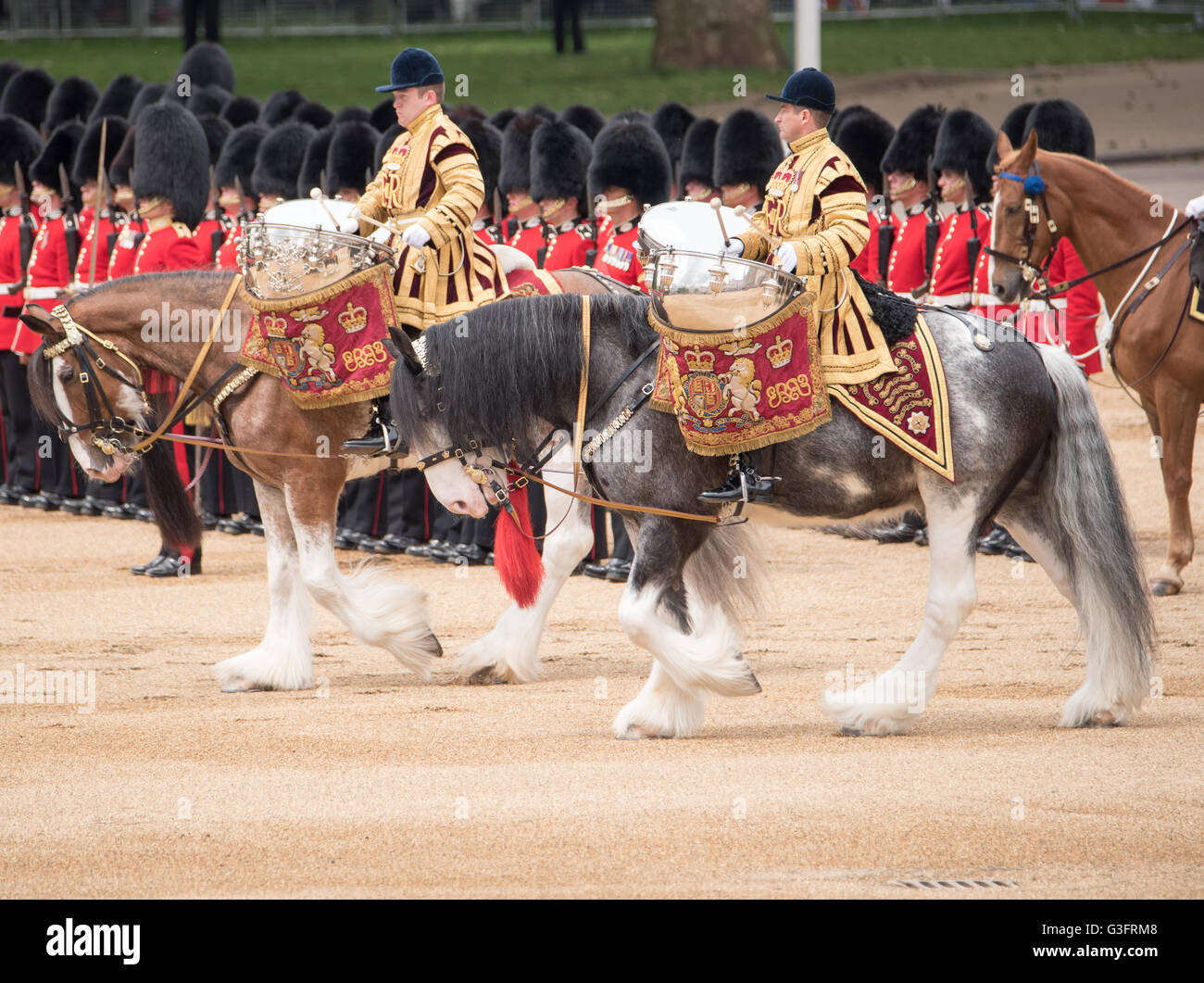 Drum horses hires stock photography and images Alamy
