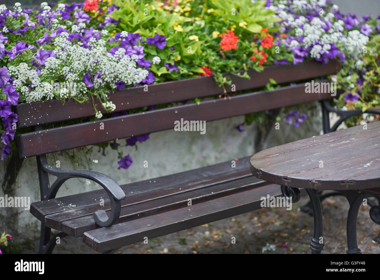 Park bench and table surrounded by blooming flowers Stock Photo