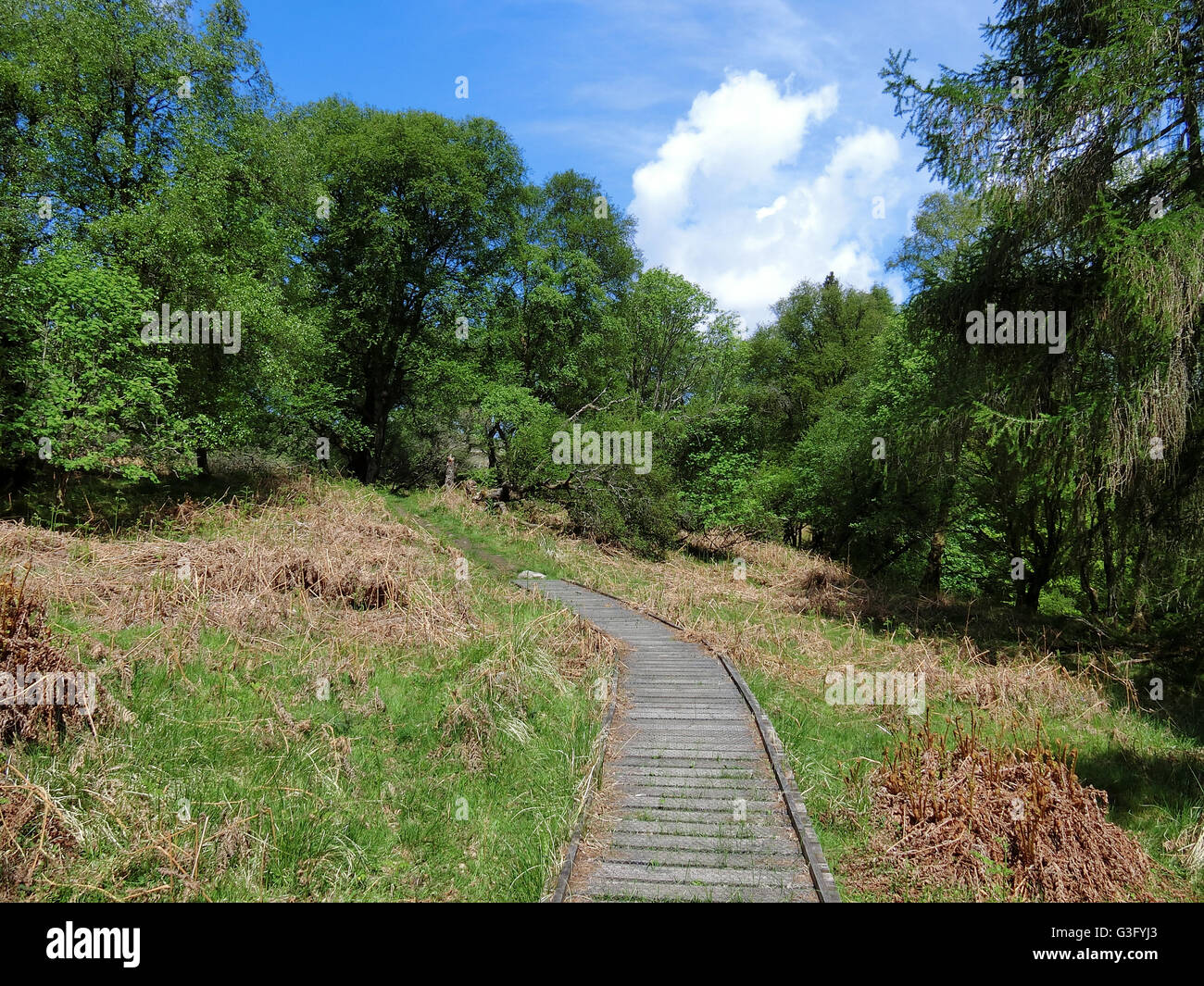 Craigs High Resolution Stock Photography and Images - Alamy