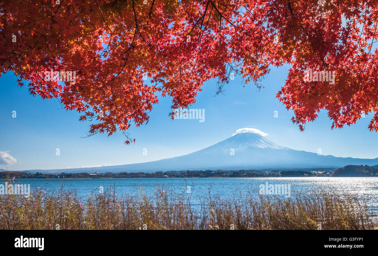 Mount Fuji and autumn maple leaves, Kawaguchiko lake, Japan Stock Photo