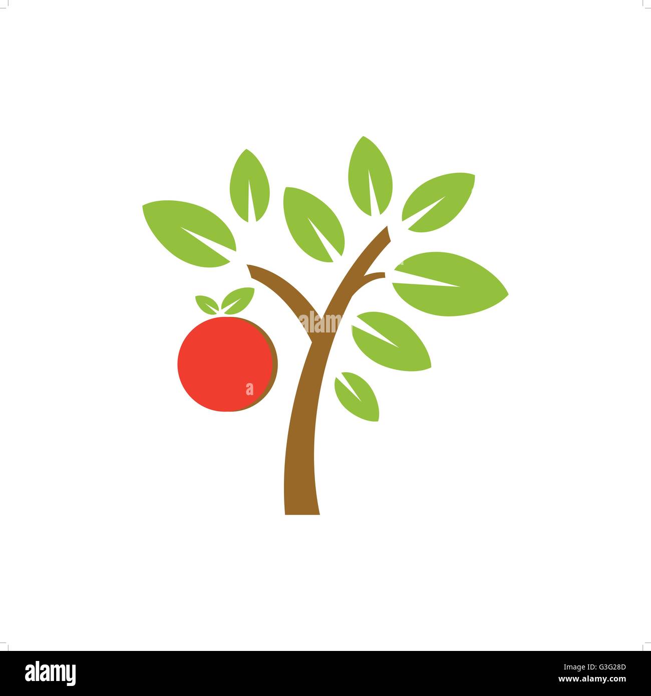 Vector apple fruit tree isolated on white background Stock Vector Image ...