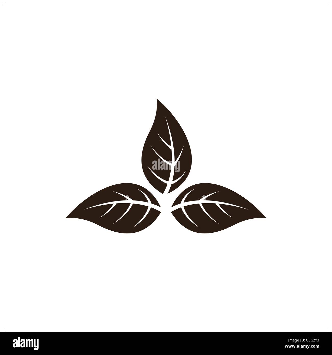 Brown tobacco leaves vector illustration isolated on white background