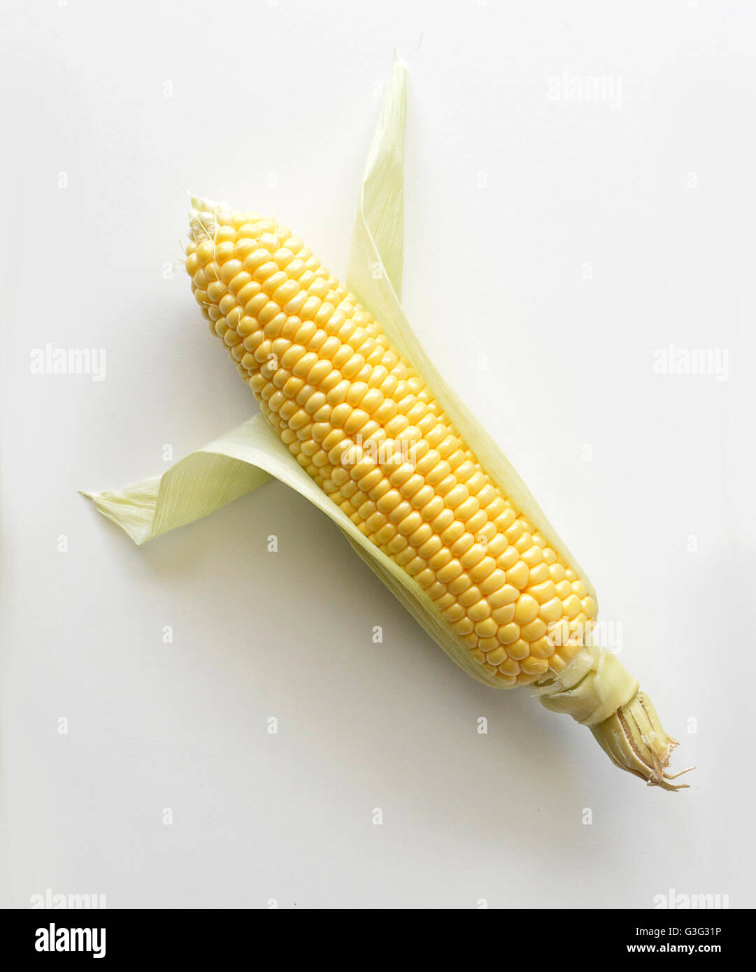 Corn on the cobb isolated Stock Photo
