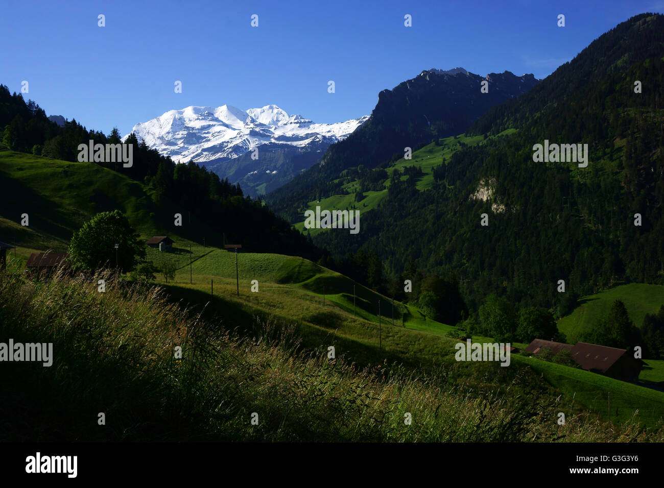 View into Kiental with Mt. Blüemlisalp in back, Bernese alps, Switzerland Stock Photo