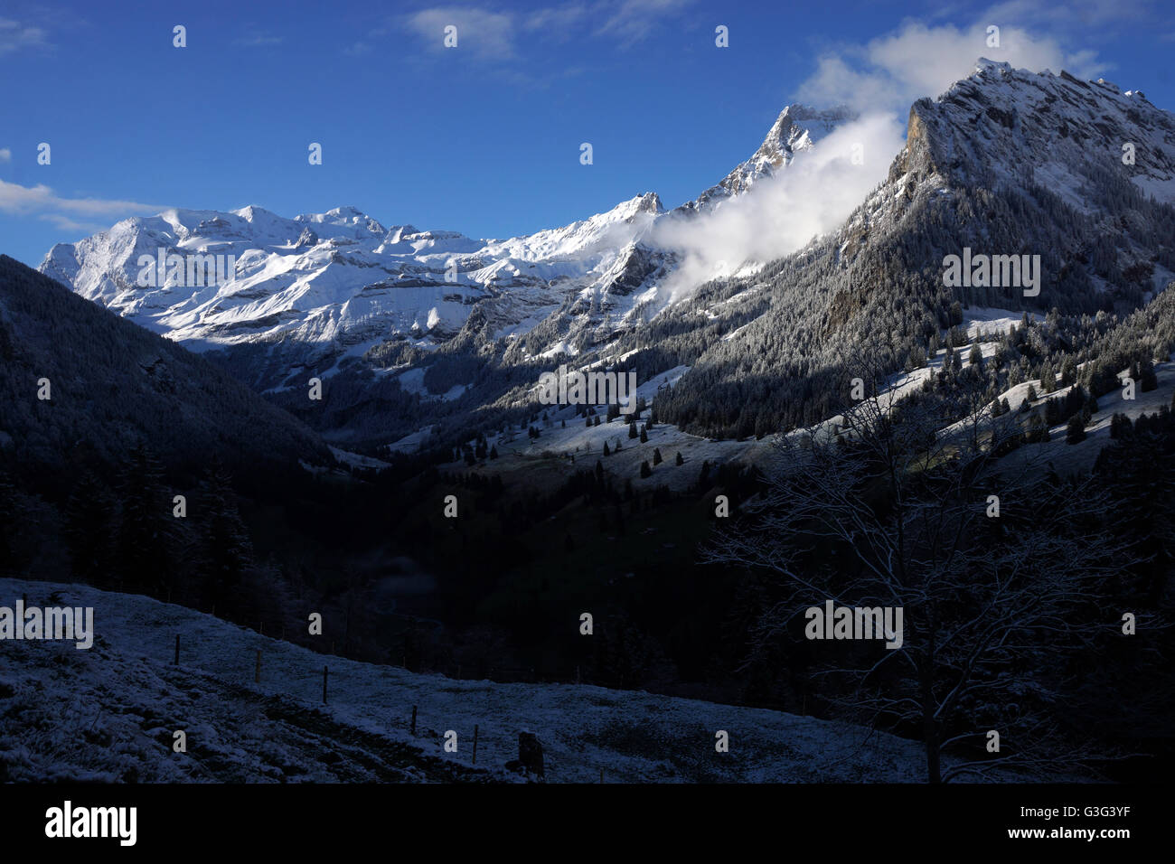 View into Kiental with Mt. Blüemlisalp in back, late winter, Bernese ...