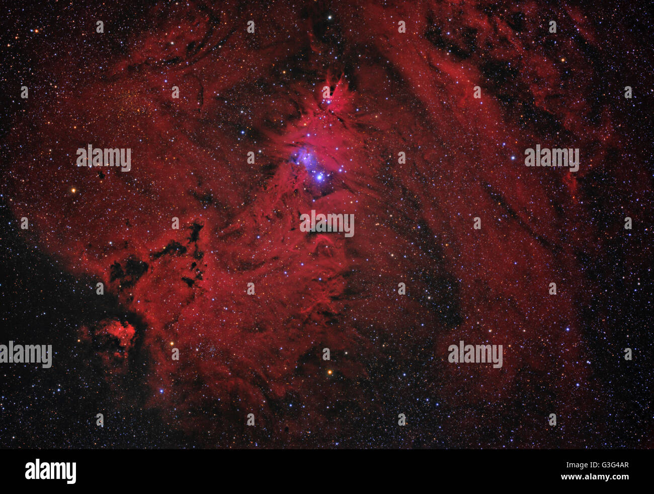 Cone Nebula and Christmas Tree cluster in the constellation of Monoceros Stock Photo