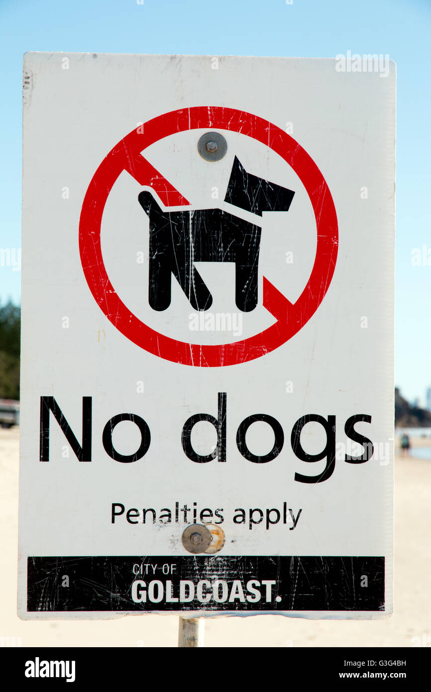 Sign advising that dogs are not allowed on this section of beach on the Gold Coast in Australia Stock Photo
