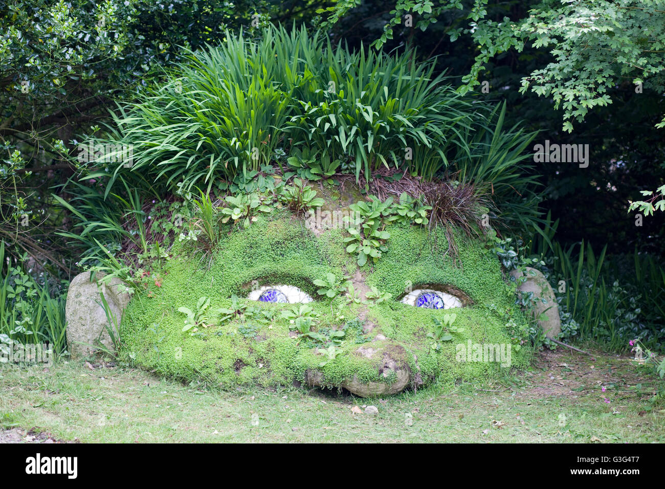 The green giant in the Lost Gardens of Heligan Stock Photo