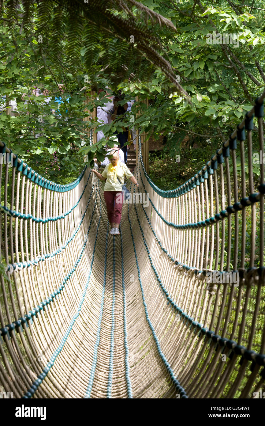 woman crossing the rope bridge at the lost gardens of Heligan Stock
