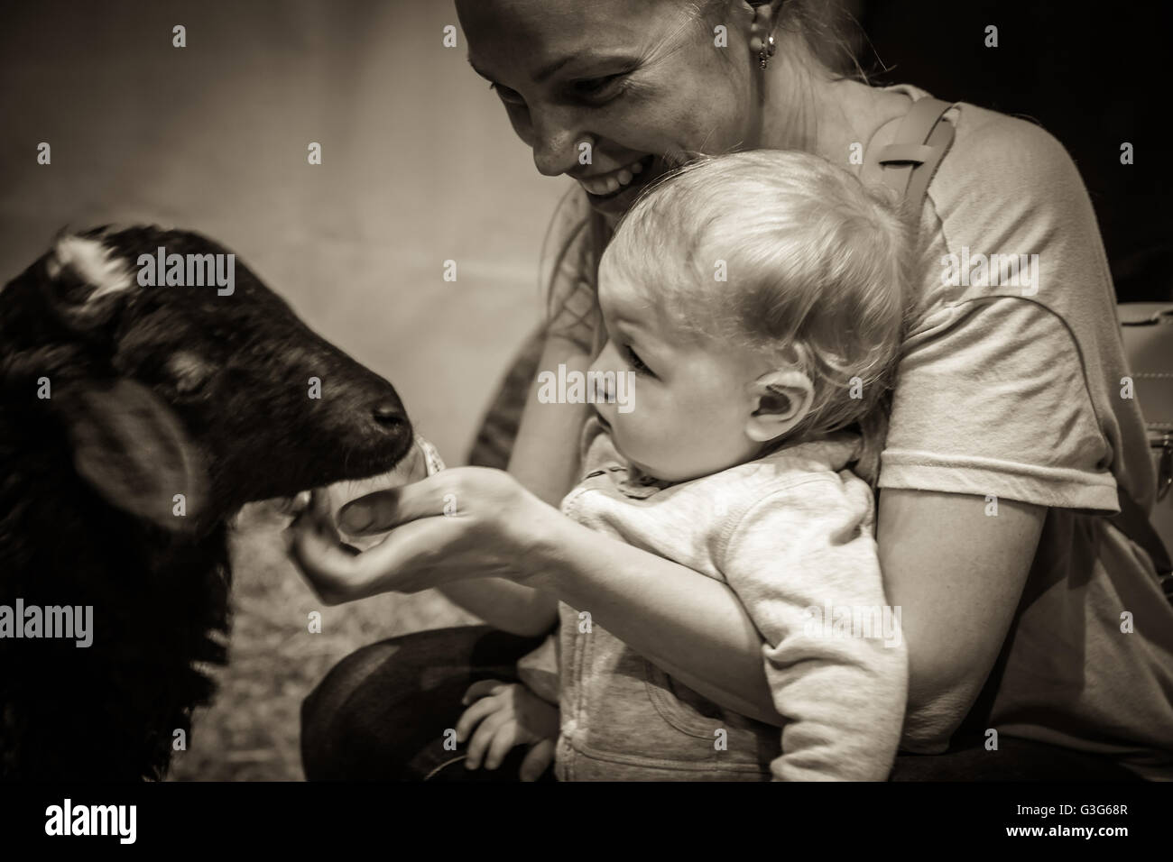 Baby  with mother feeding  animal at the petting zoo Stock Photo