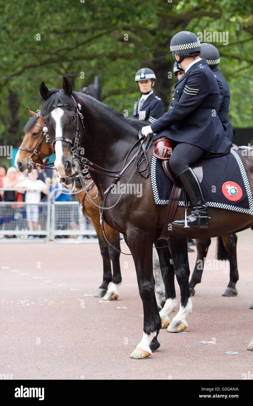 British Mounted Police High Resolution Stock Photography and Images - Alamy