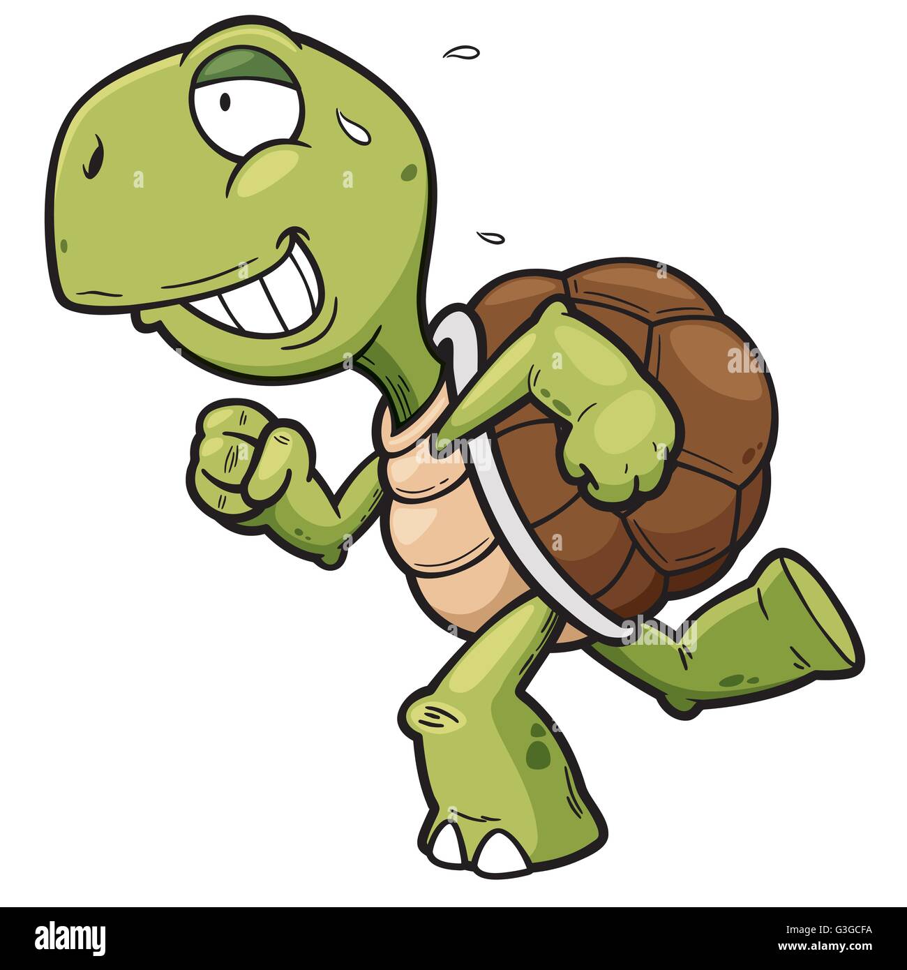 Vector illustration of Cartoon turtle Stock Vector