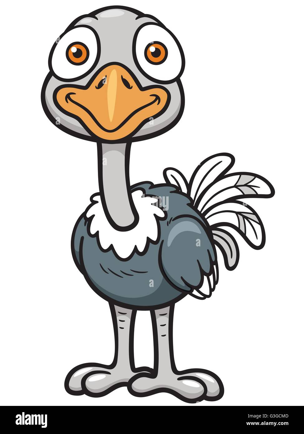 Ostrich cartoon hi-res stock photography and images - Alamy Ostrich cartoon hi-res stock photography and images - Alamy