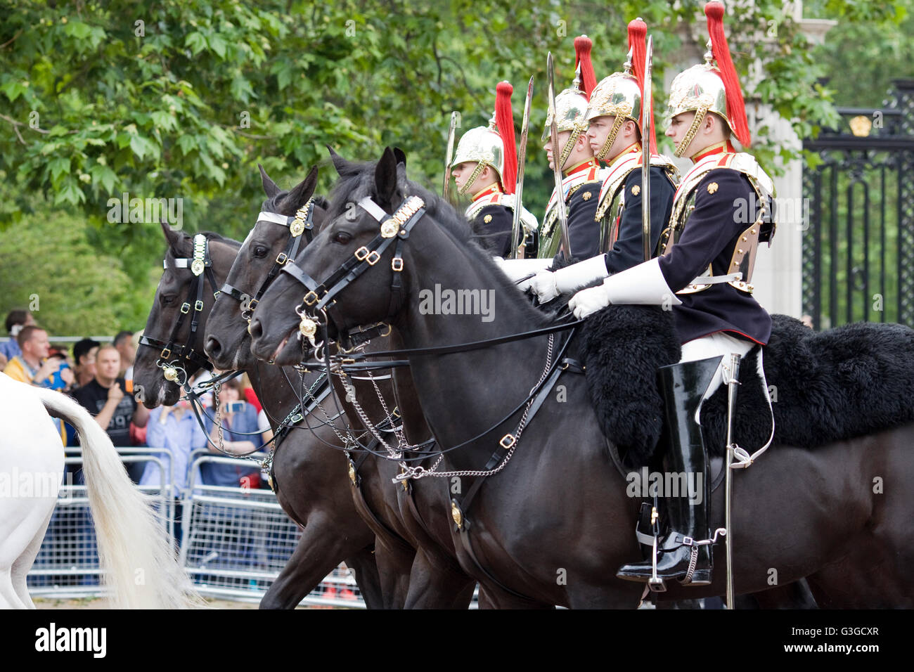 The Blues and Royals (Royal Horse Guards and 1st Dragoons)