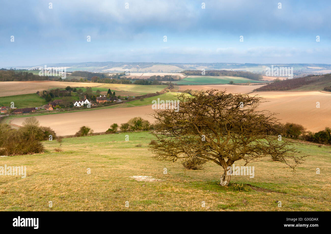 An English countryside scenic; a lone tree overlooks a cottage and oast house in the North Kent Downs. Stock Photo
