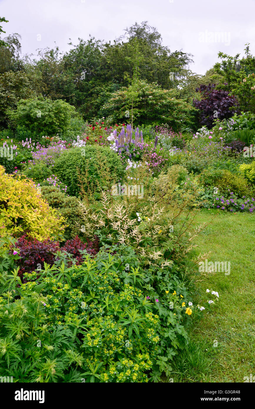 English country garden in early summer with an abundance of plants and ...
