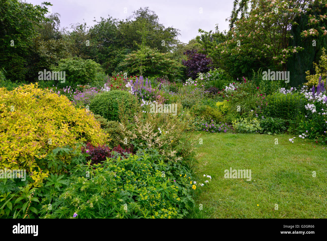 English country garden in early summer with an abundance of plants and ...