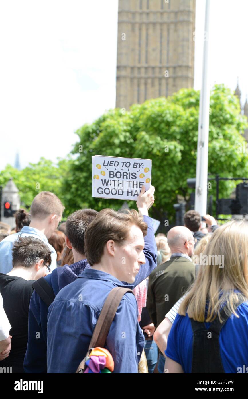 London, UK. 25th June 2016. Protester holds a placard saying 'Lied to by Boris with the good hair.' Credit: Marc Ward/Alamy Live News Stock Photo