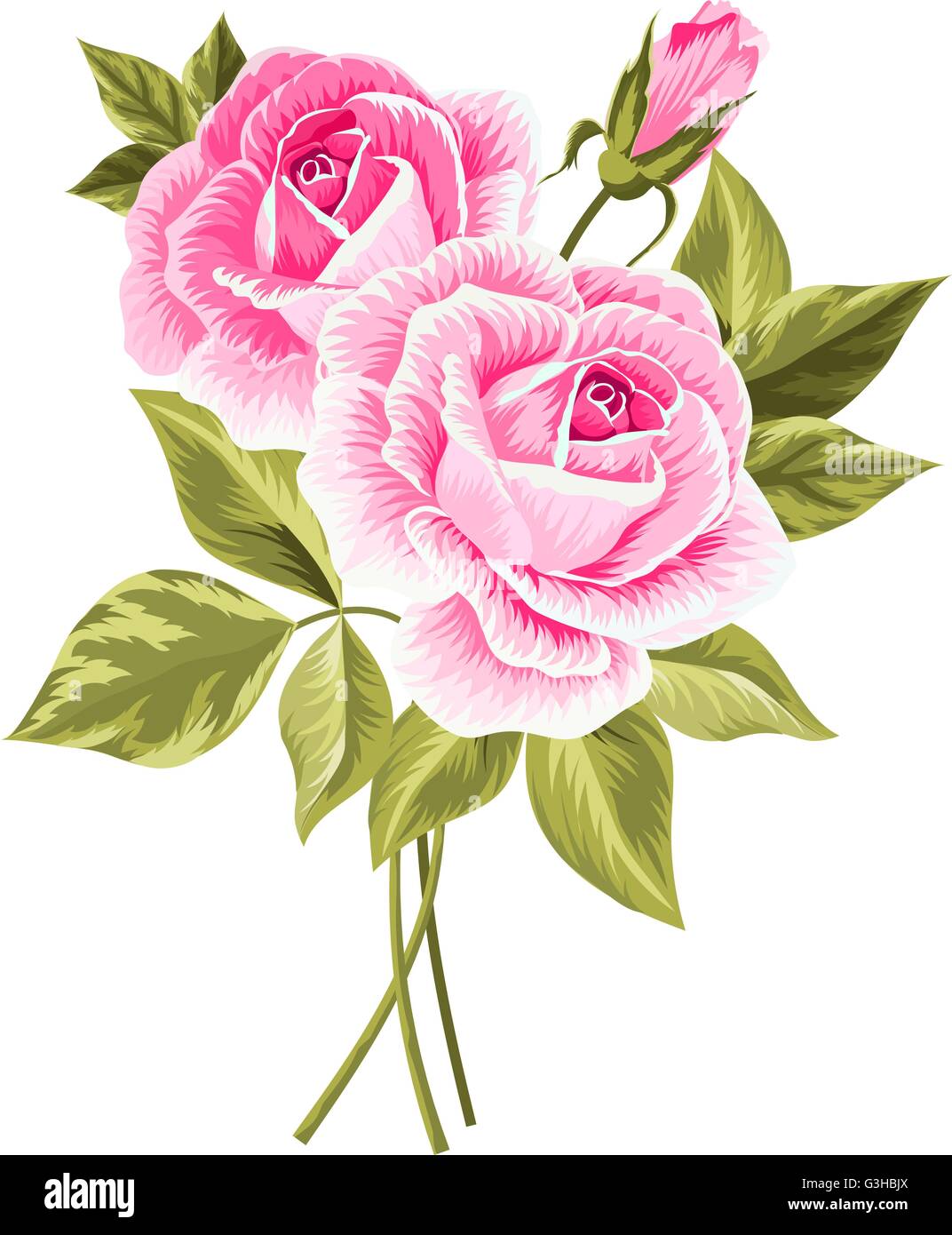 Beautiful bouquet of roses isolated on white Stock Vector Image & Art ...